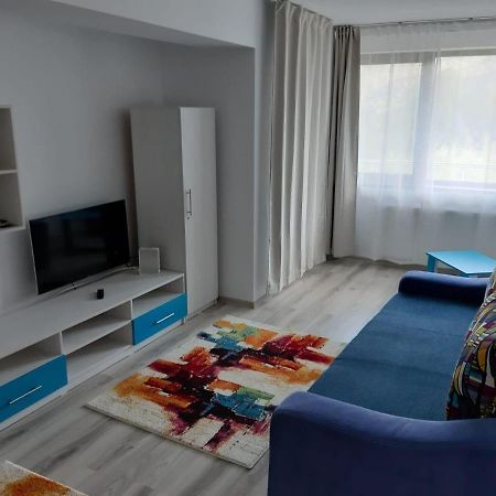 Dorin Colina Marei Apartment Sinaia Exterior photo