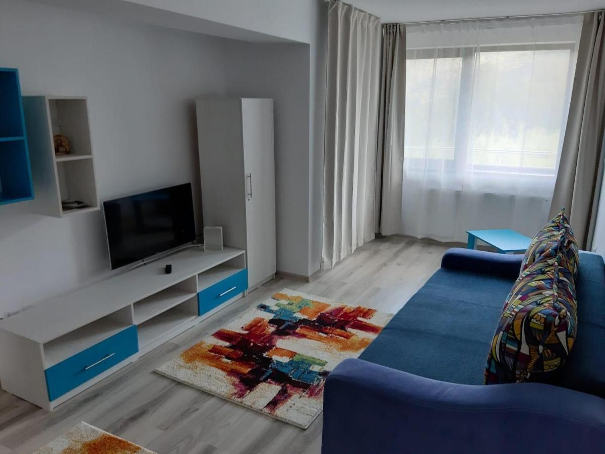 Dorin Colina Marei Apartment Sinaia Exterior photo